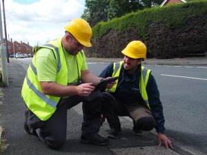 2 Indigo Fibre Surveyors