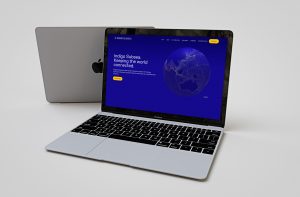 a visual of the Indigo Subsea website