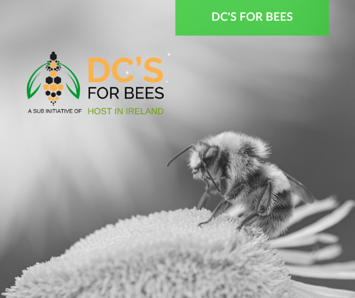 DC for Bees